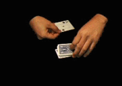 Table Triple False Cut